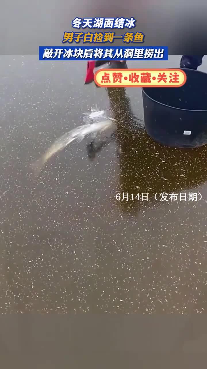 冬天水库结冰逮鱼技巧(冬天水库结冰怎么钓鱼)