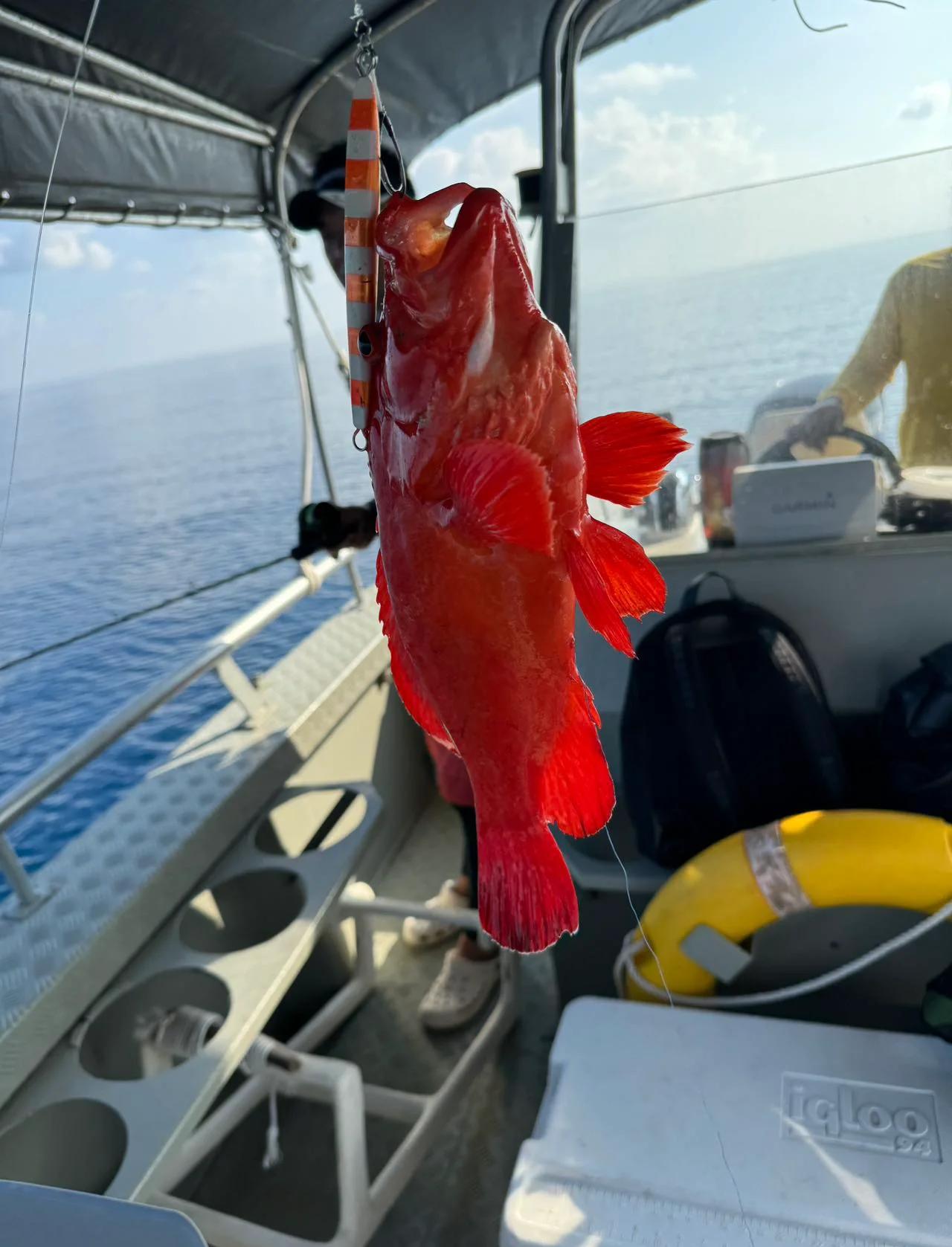 海钓直接甩鱼(海钓直接甩鱼是怎样摘钩的)