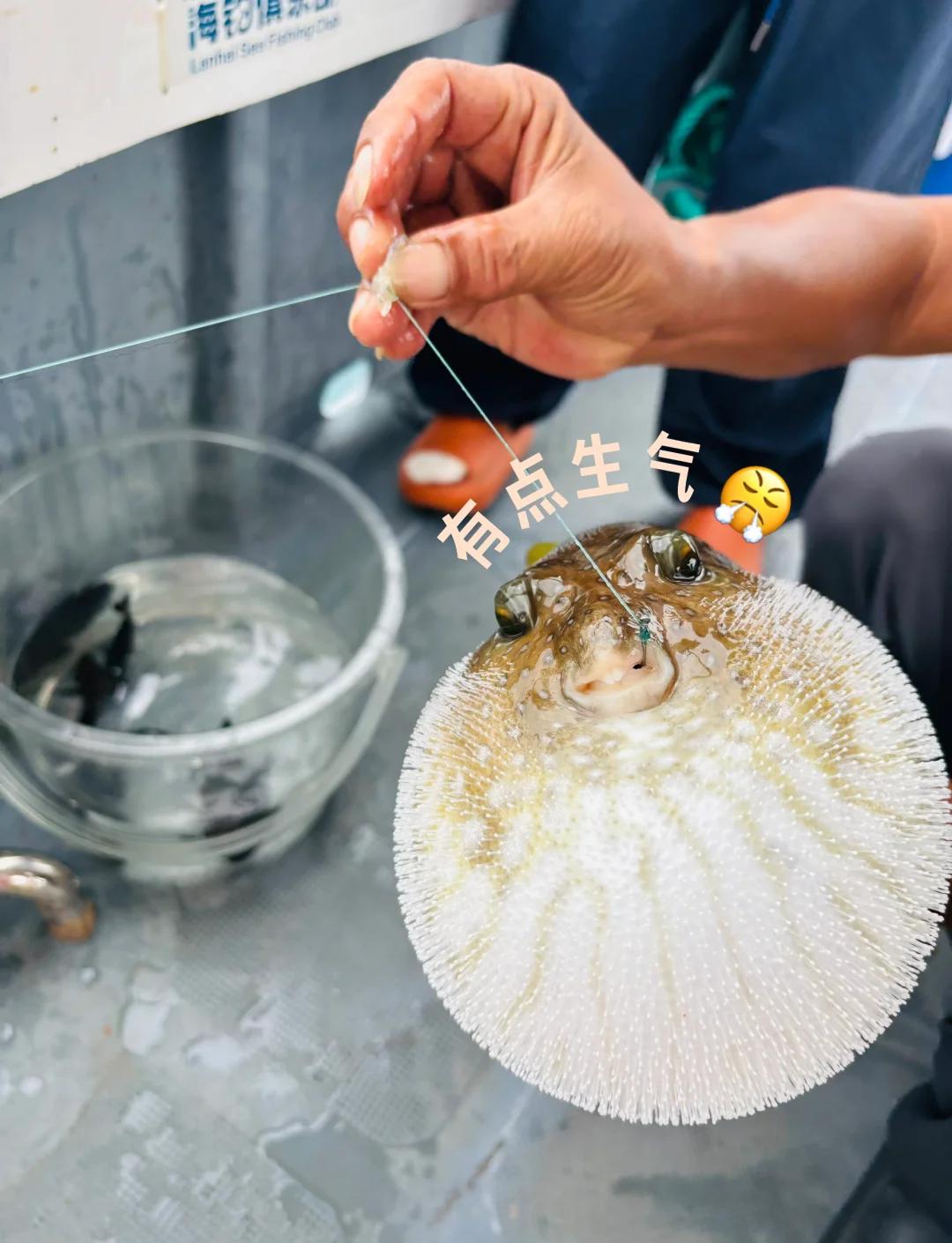 大风天怎么海钓(大风天如何垂钓)