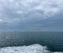 罒海钓鱼发现绝活(海钓鱼获)