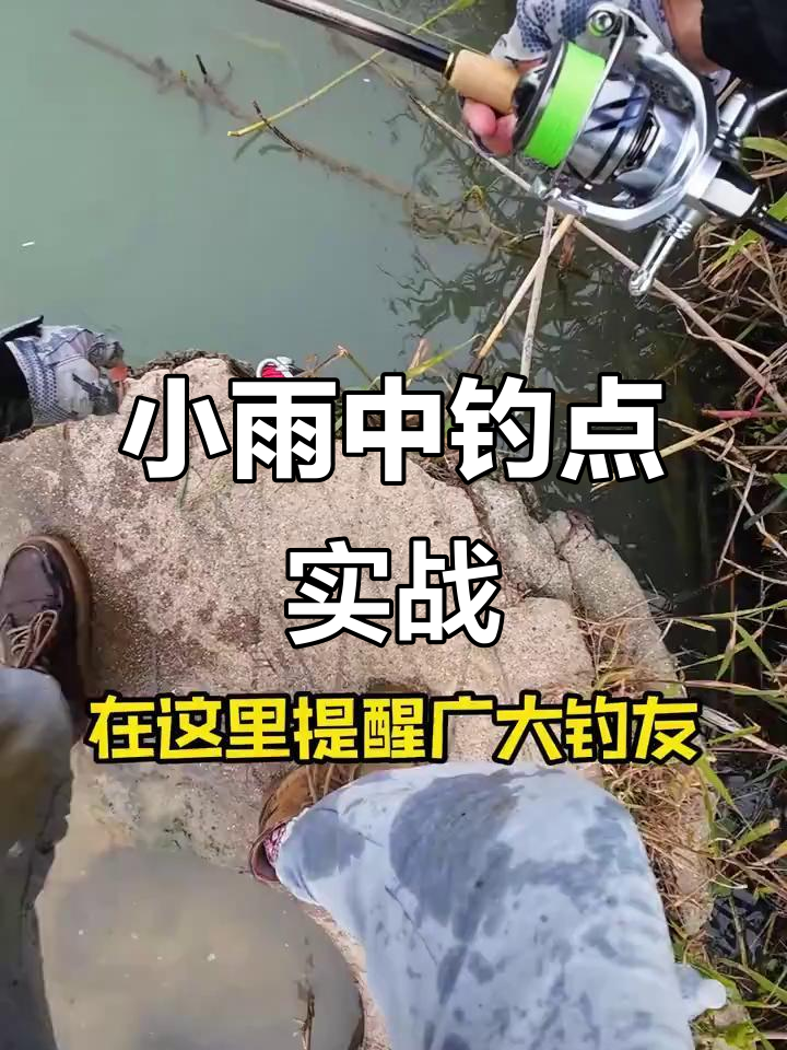 夏天雨中钓鱼技巧(夏天雨中钓鱼技巧视频)