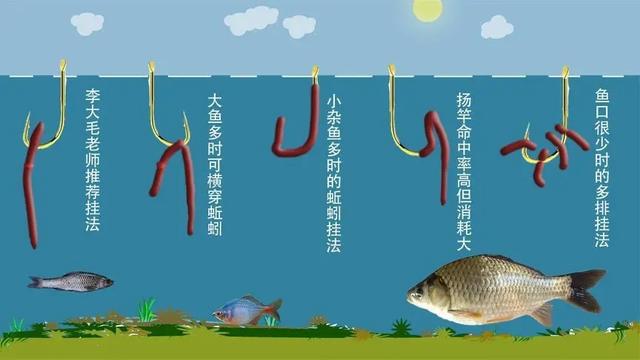 路亚挂蚯蚓(路亚挂蚯蚓钓白条)