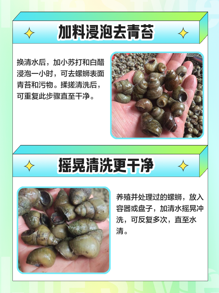 螺蛳青技巧(螺蛳青是吃什么的)