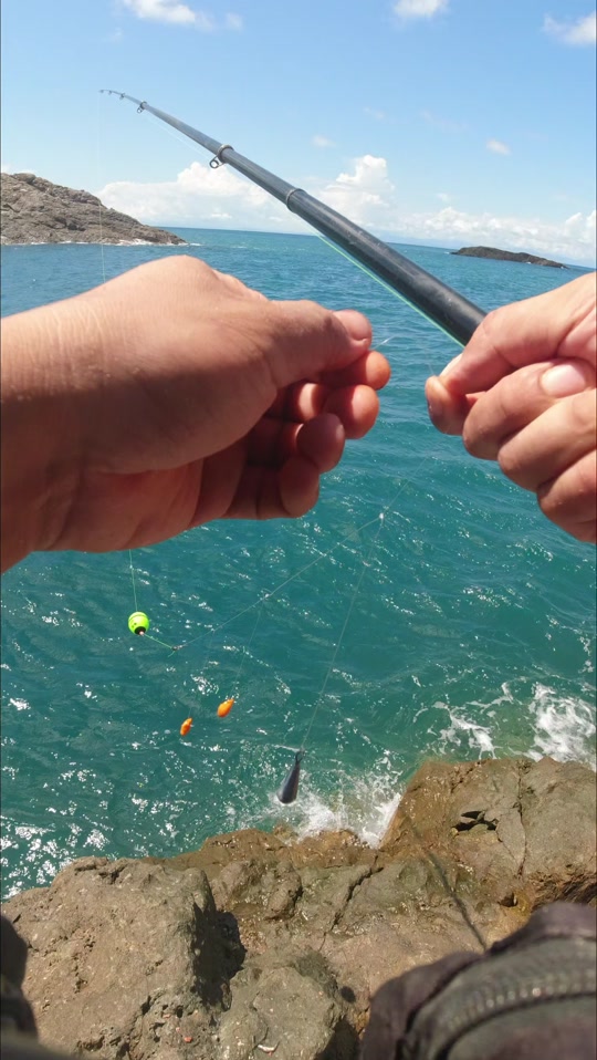 在大海钓鱼视频大全(大海钓鱼的视频)