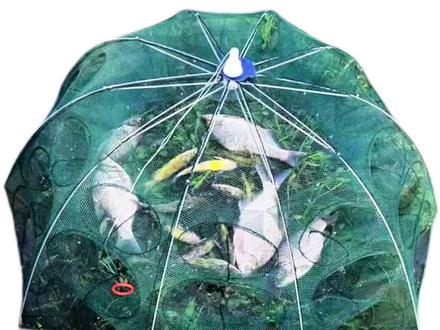 虾笼捕草虾技巧(如何用虾笼捕虾)