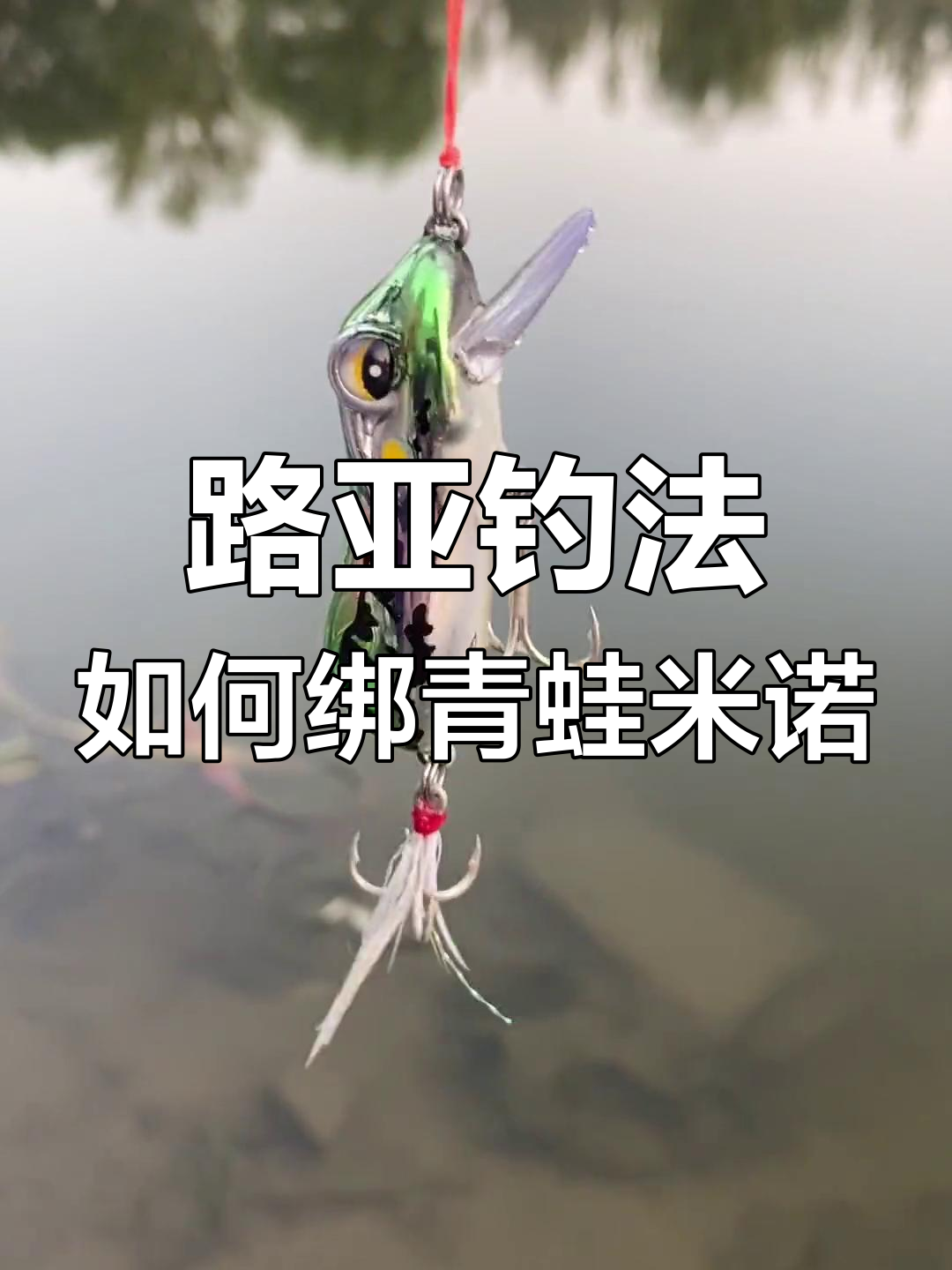 路亚蛙进水(路亚滑漂钓鲫鱼视频看)