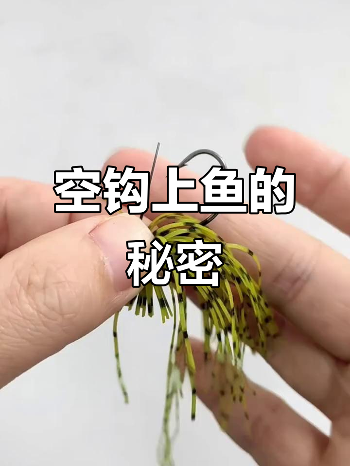 钓鱼挂软饵技巧和方法(软饵怎么挂钩配重教程)