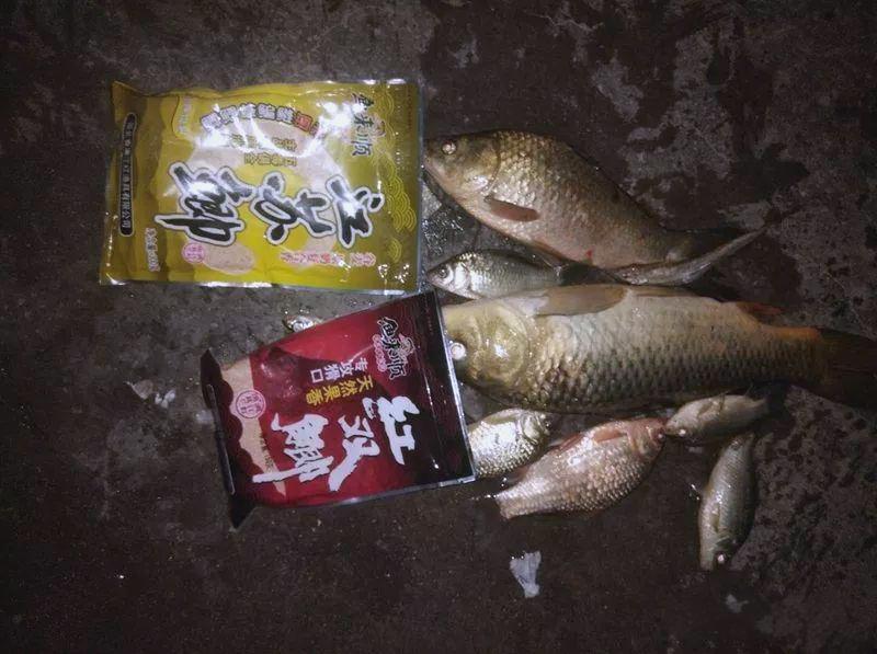 夜钓野钓鲤鱼饵料配方(夜钓鲤鱼饵料怎么搭配)