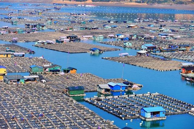 南海钓鱼场大全(南海镇钓鱼)