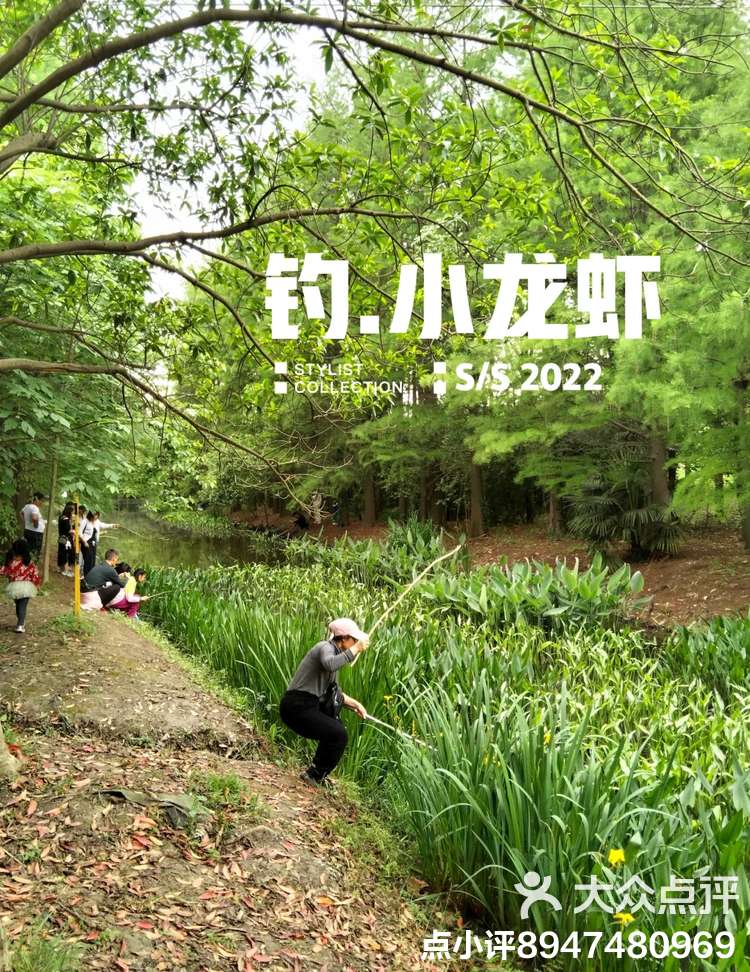 在公园钓鱼的技巧(公园里钓的鱼是什么鱼)