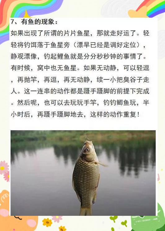 初秋钓大鲤鱼技巧(初秋钓鲤鱼钓深还是浅)