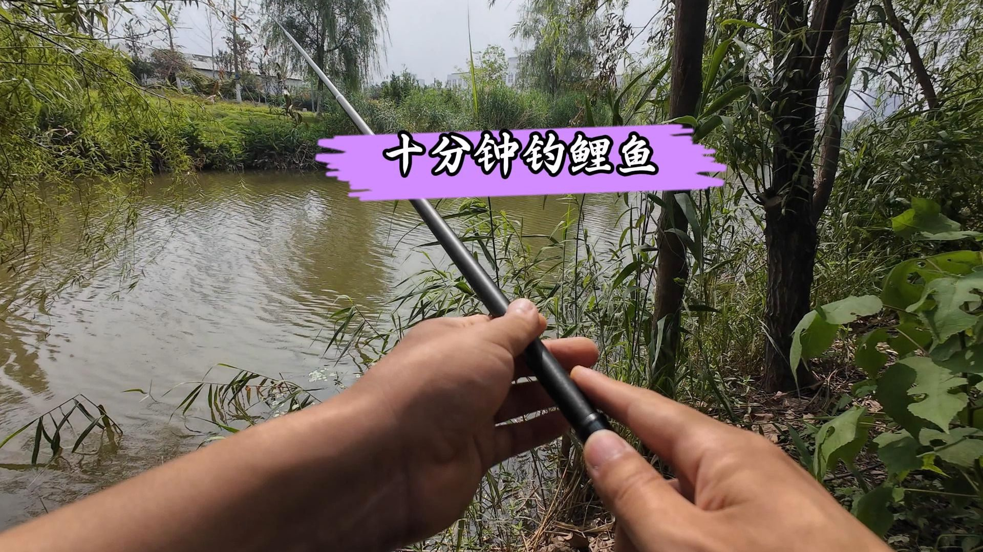 初秋钓大鲤鱼技巧(初秋钓鲤鱼钓深还是浅)