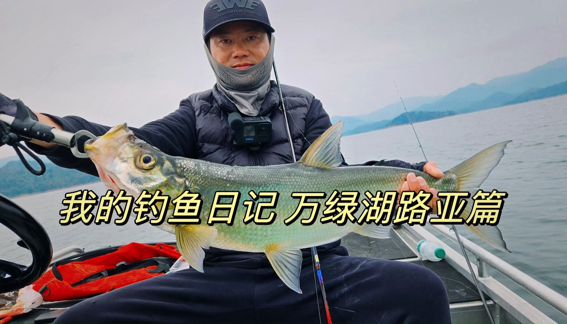 哈尔滨哪里路亚(哈尔滨路亚鱼种)