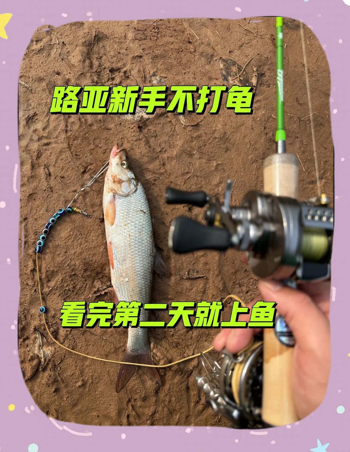 路亚小胖子技巧(路亚小胖子能钓什么鱼)