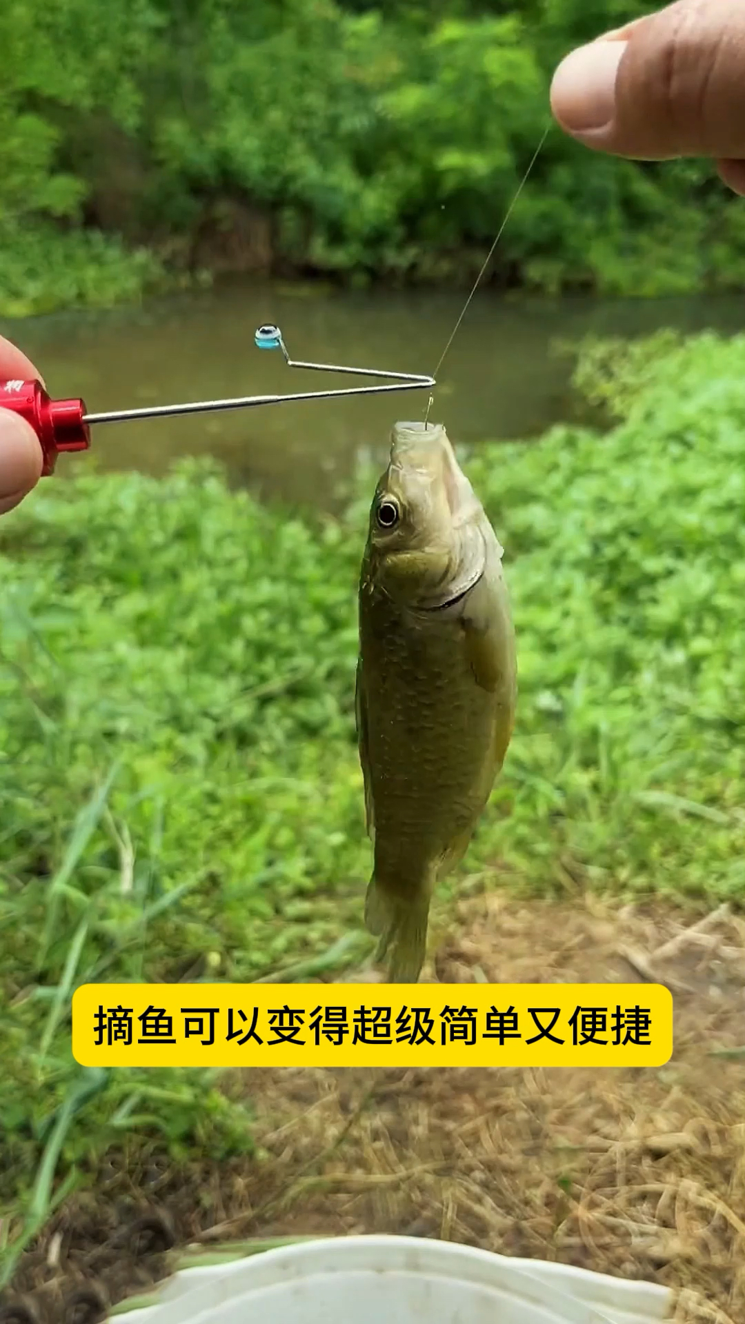 钓鱼技巧图片(钓鱼技巧大全 视频教程)