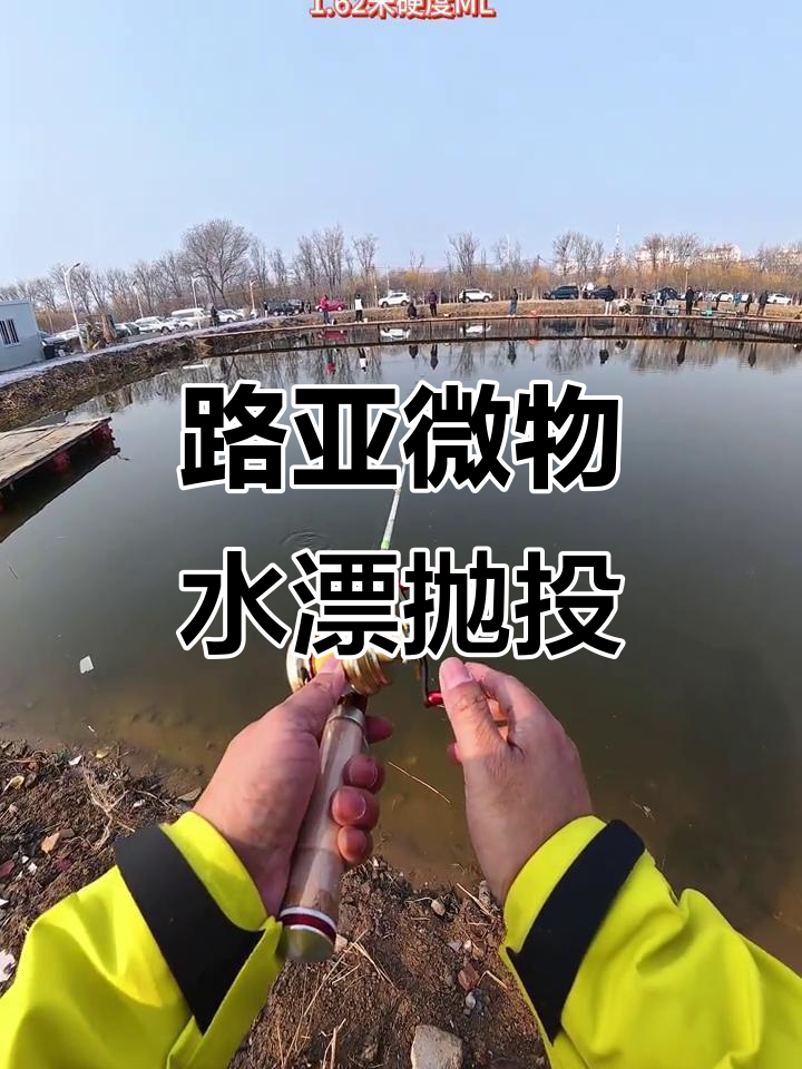 路亚微抛投(微路亚如何抛远)