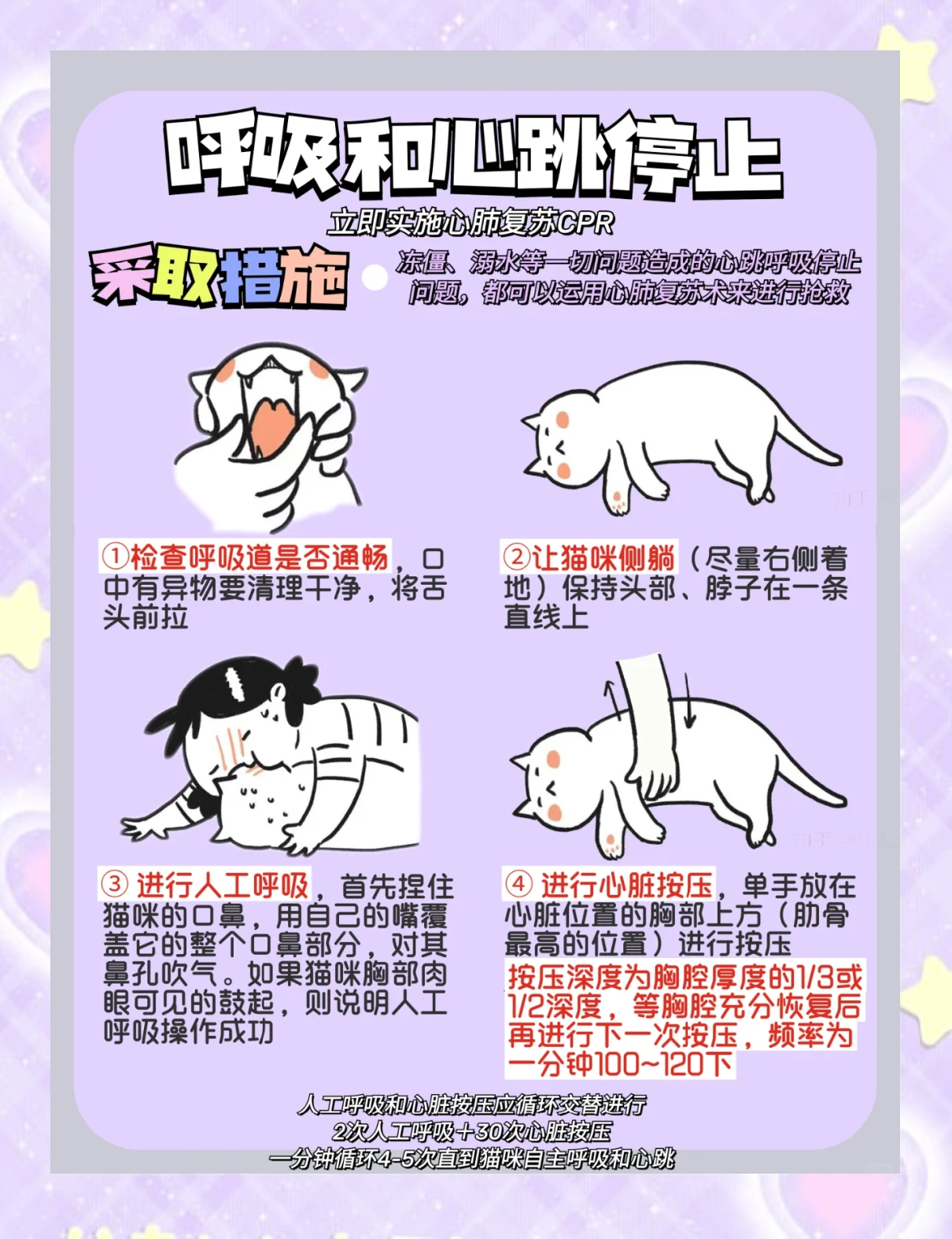 投放老鼠药技巧(关于投放老鼠药的温馨提示)