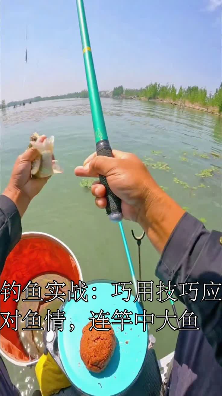 钓大鱼拉杆技巧(钓大鱼怎么拉)