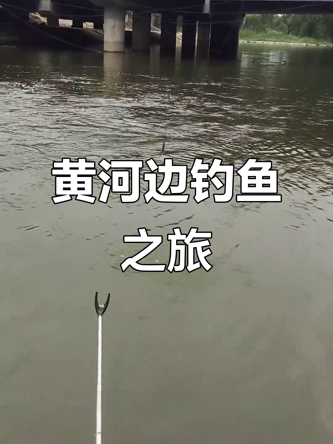 野河台钓小鲫鱼技巧(野河台钓小鲫鱼技巧视频)