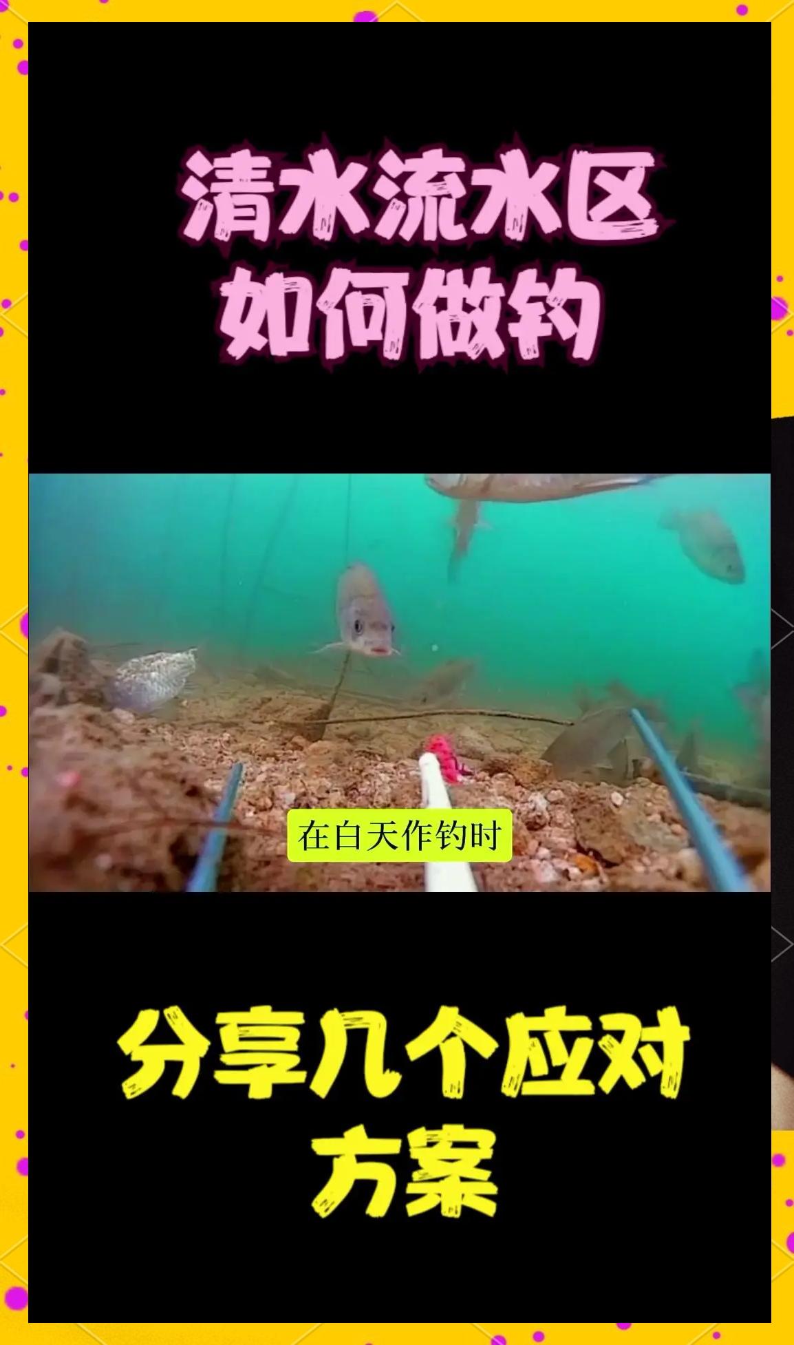 钓浅水鱼有哪些技巧(浅水钓鱼用什么饵料)