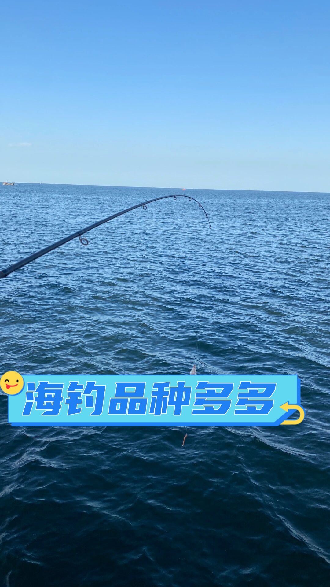 海钓早上还是下午(海钓早上好还是晚上好)