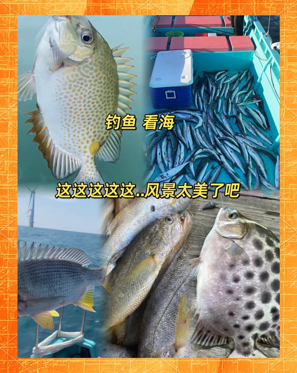 惠州海钓最佳地方(惠州海钓鱼的地方有哪些)