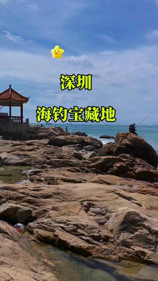 深圳免费海钓地点(深圳哪里海钓鱼免费)