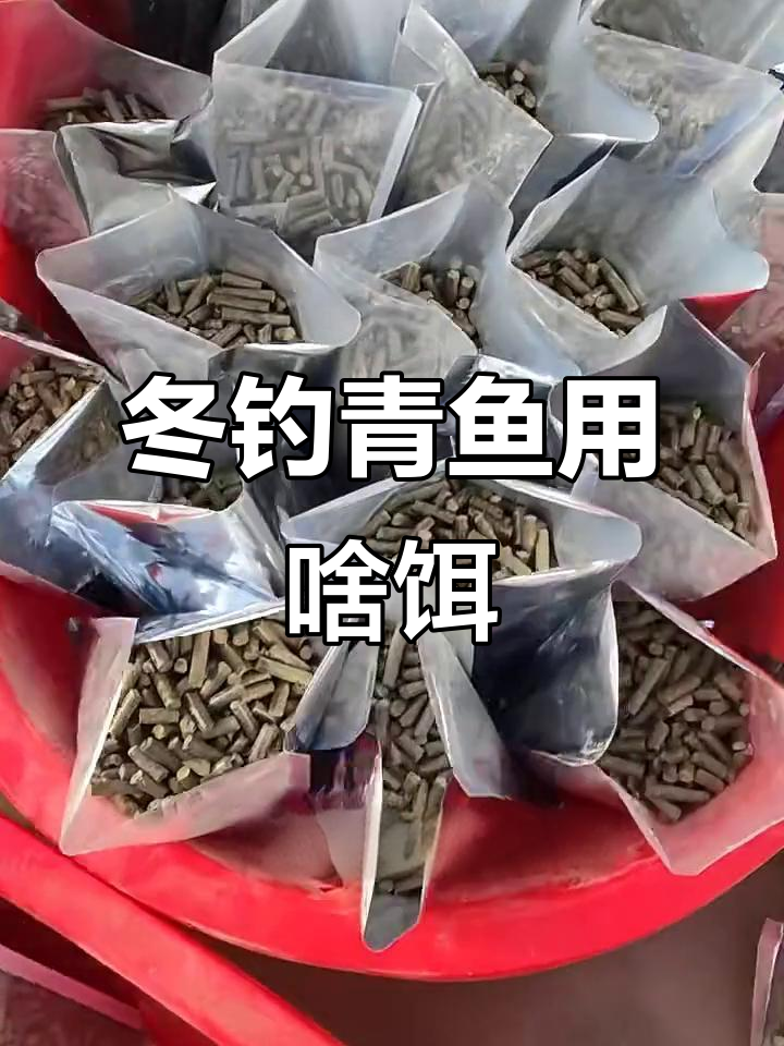 钓石扁头饵料(石扁头鱼浑水可以钓到吗)