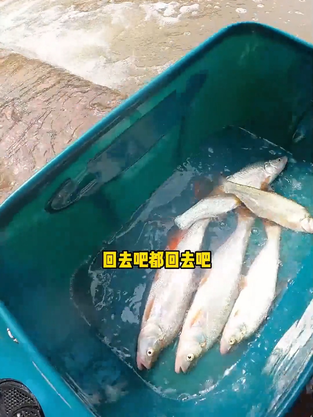 吴城路亚(十大建议买的路亚牌子)