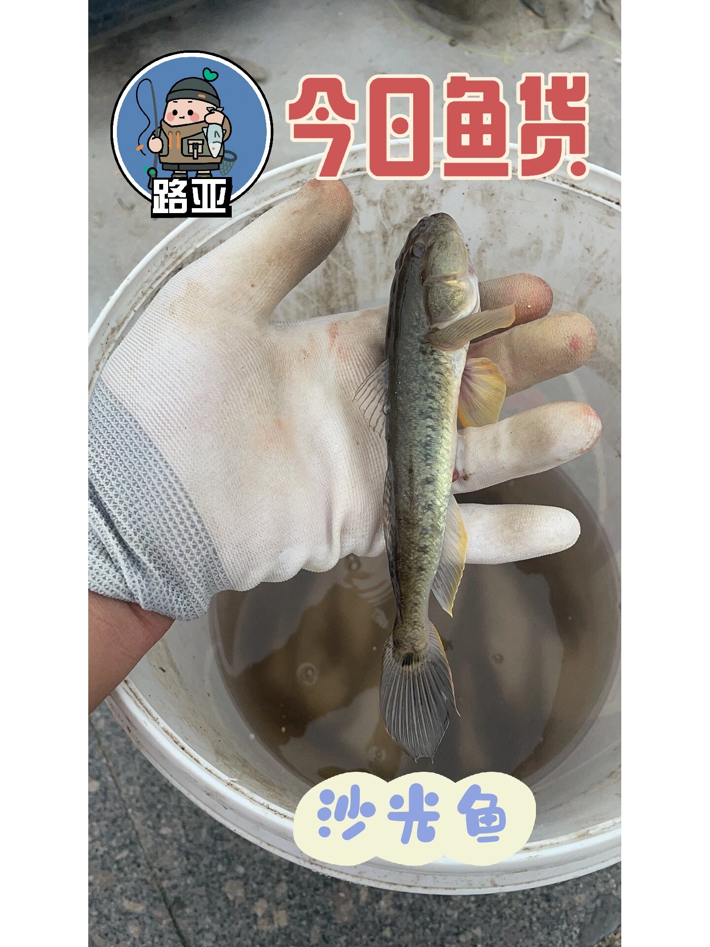推浪鱼路亚(lure是什么意思啊路亚)