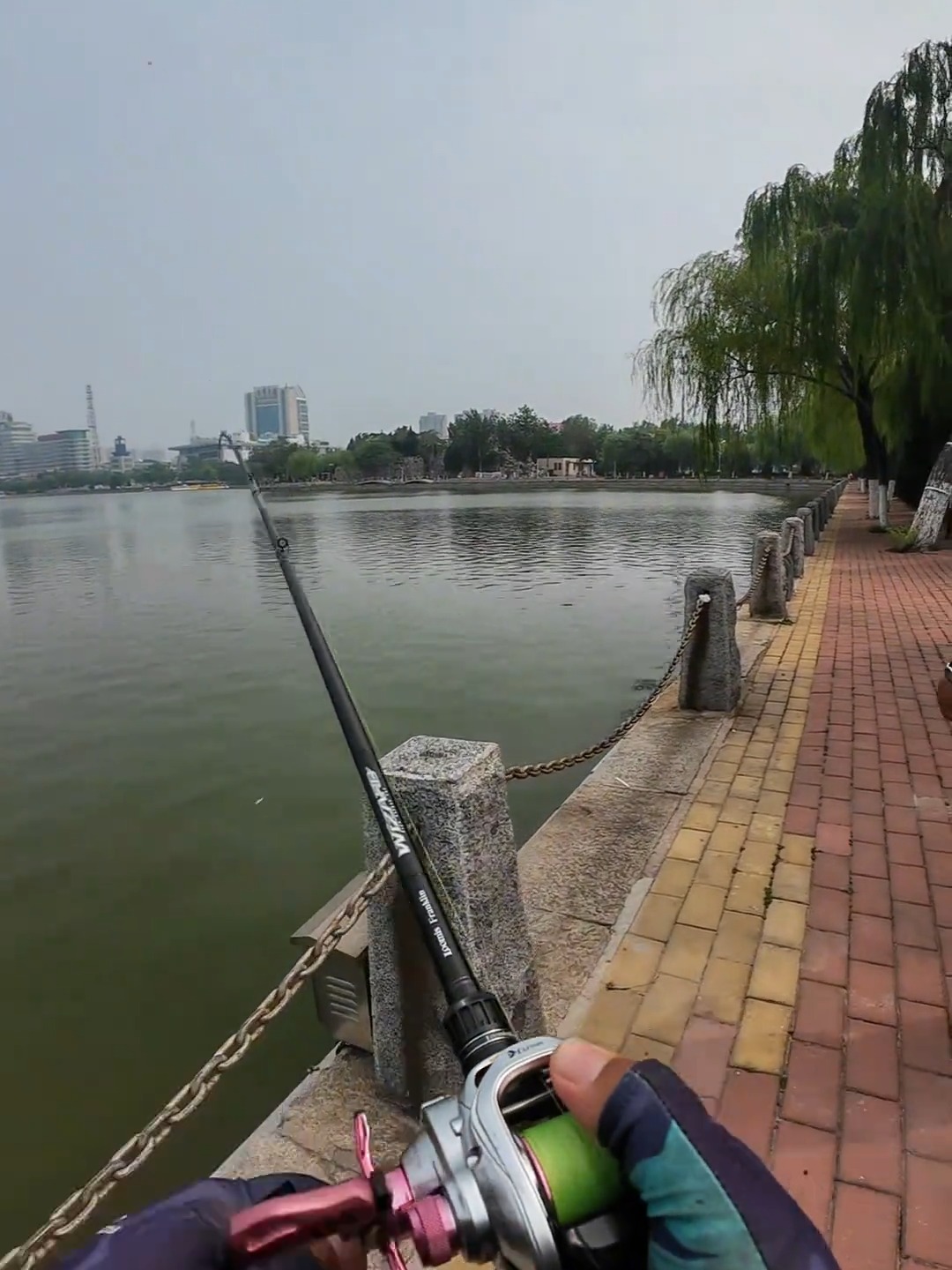 鲤鱼路亚(鲤鱼路亚能钓吗)
