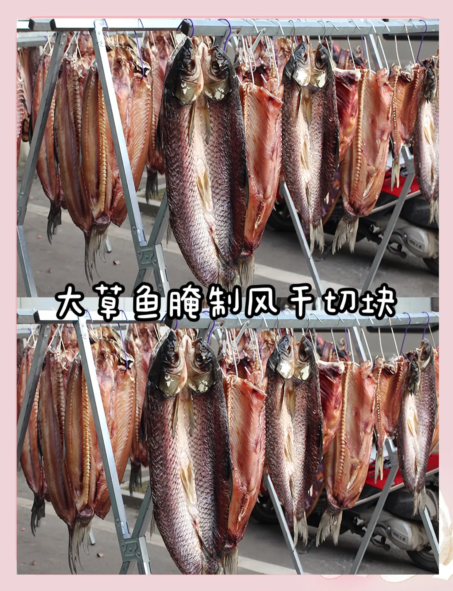 海钓腊鱼(海钓腊鱼打窝最简单三个步骤)
