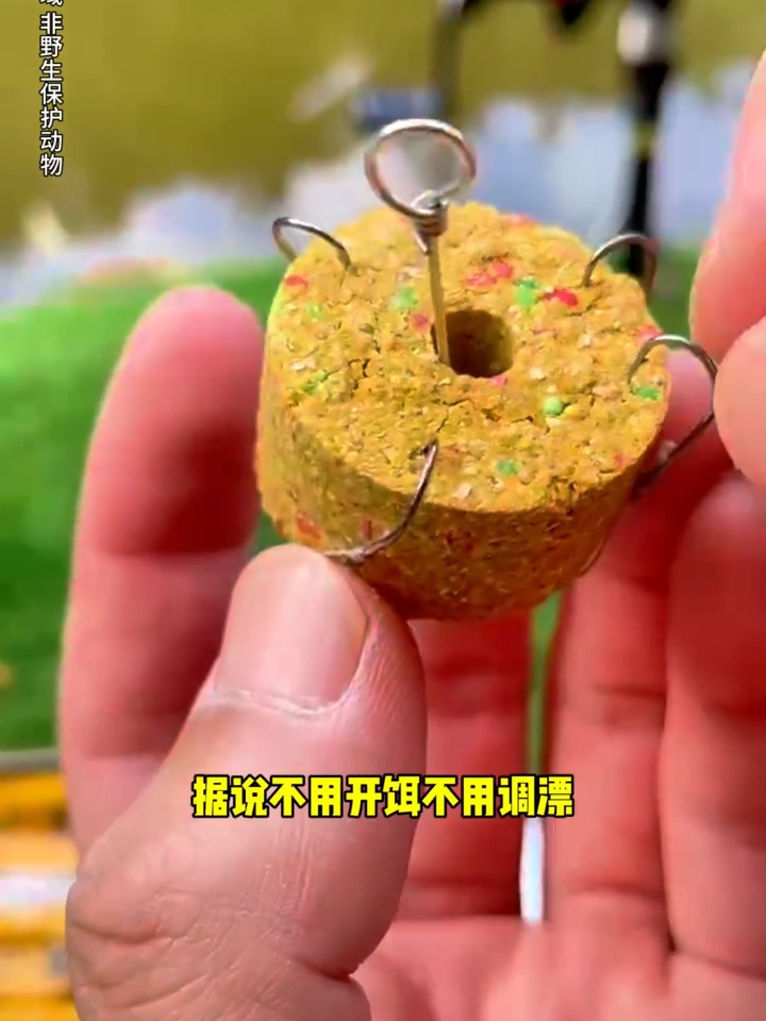 爆炸钓如何上饵料(爆炸钓饵的制作方法)