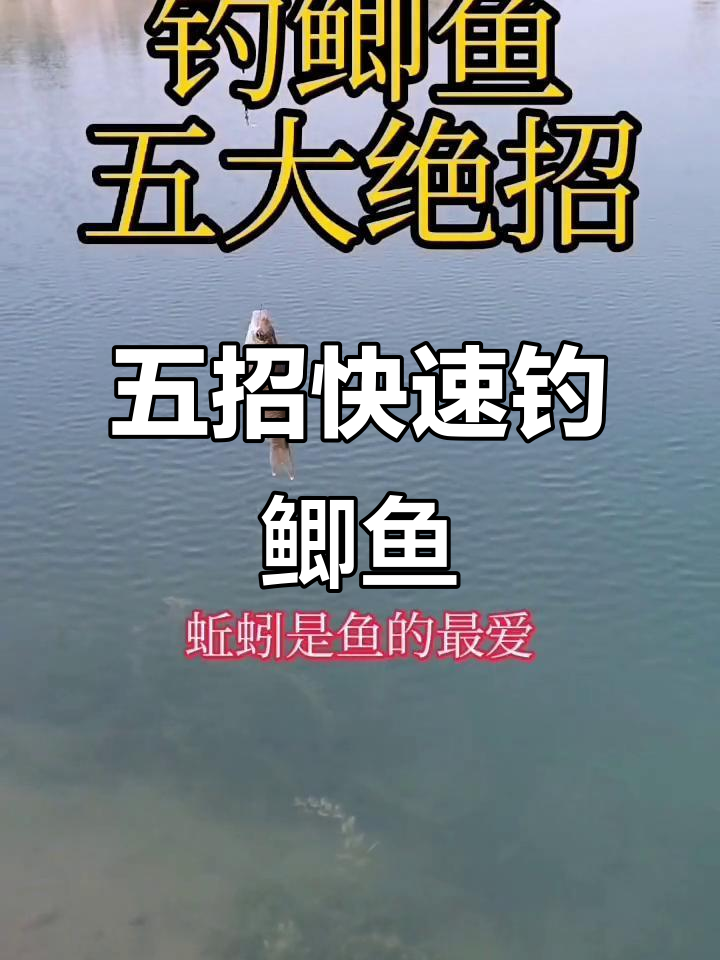 海钓鲫鱼的技巧(海钓鲫鱼的技巧和方法)