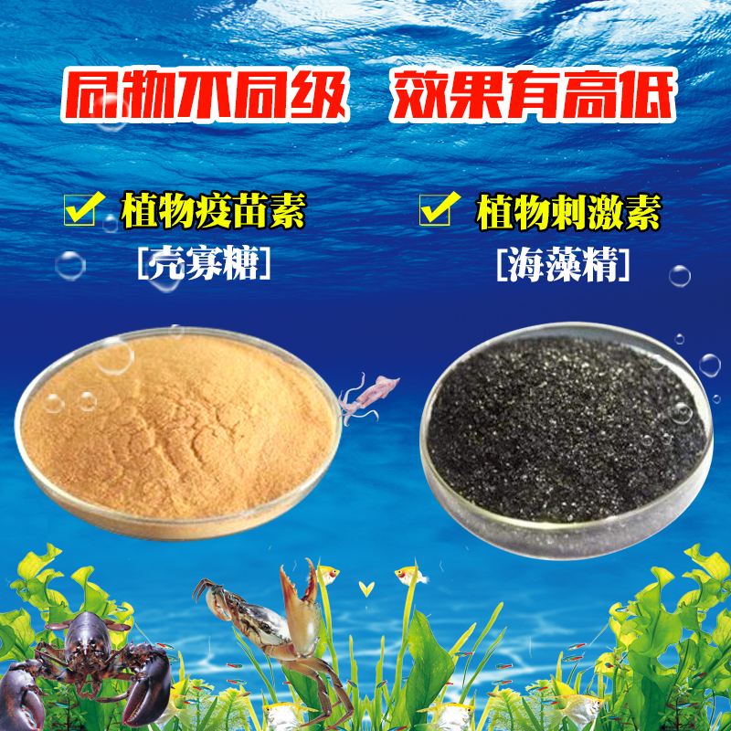 饵料海藻(饵料海藻颗粒与谷朊粉比例)