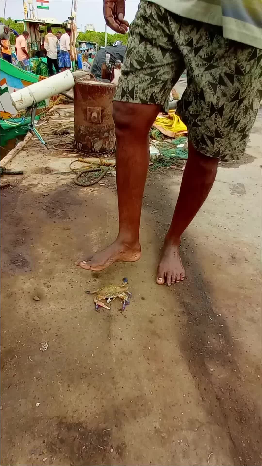 如何海钓方法视频大全(海钓方法和技巧视频教学)