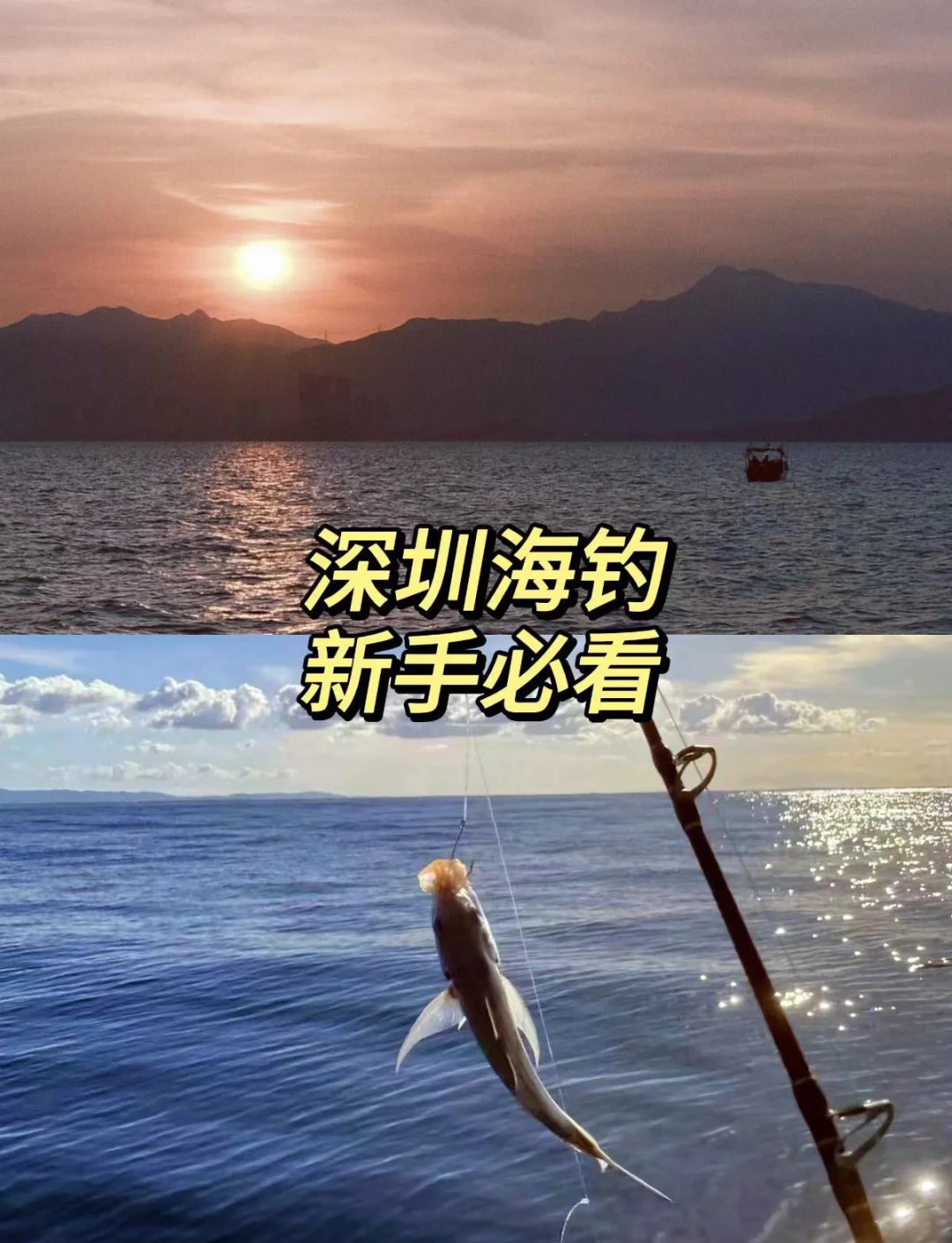 深圳海钓哪里(深圳海钓好去处)