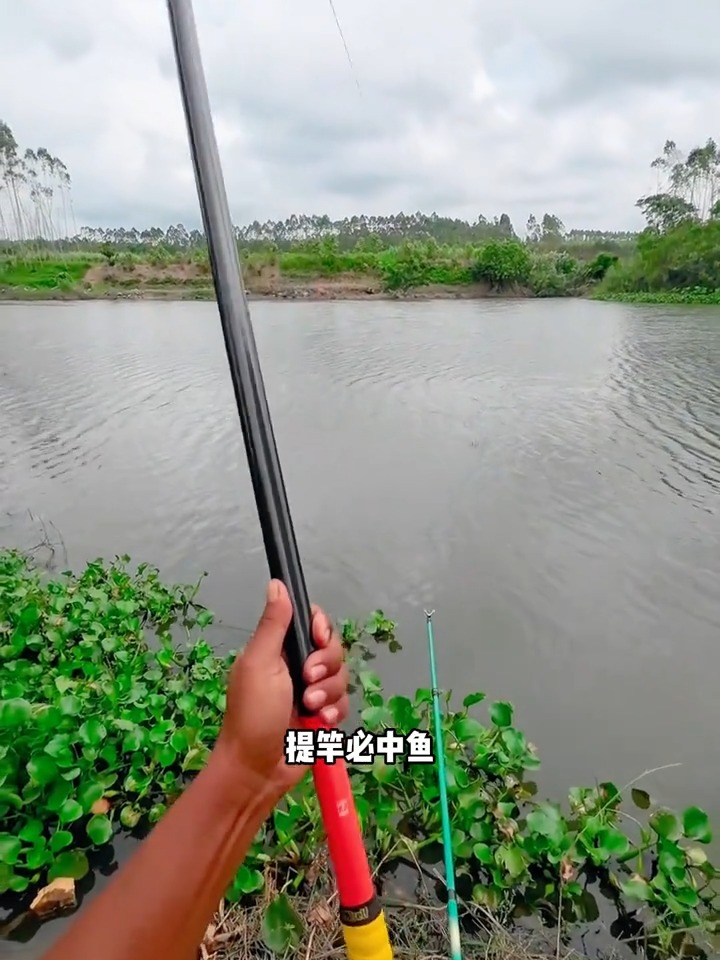 水库走水钓鱼技巧(水库走漂是什么原因)