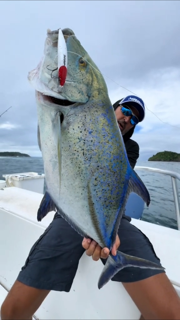 海钓怎么才能钓上大鱼(海钓技巧钓海鱼技巧基础篇)