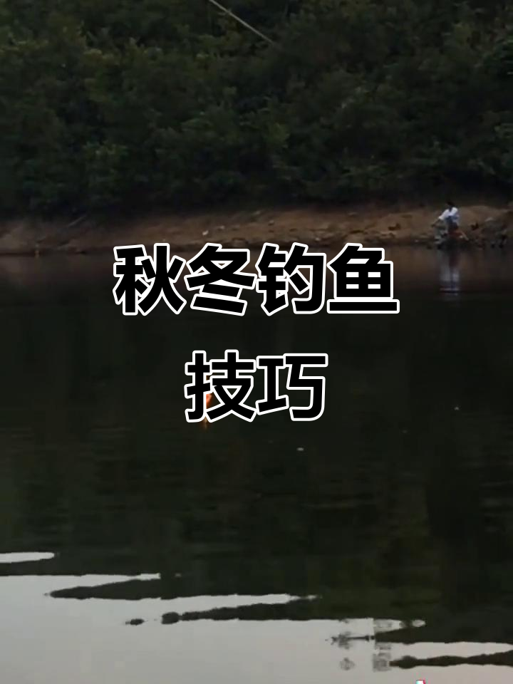 秋冬钓鲢鱼技巧视频(秋冬钓鲢鱼技巧视频教程)