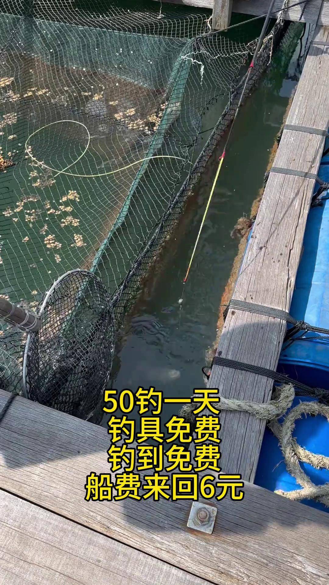 鱼排晚上海钓(晚上海钓能钓到鱼吗)