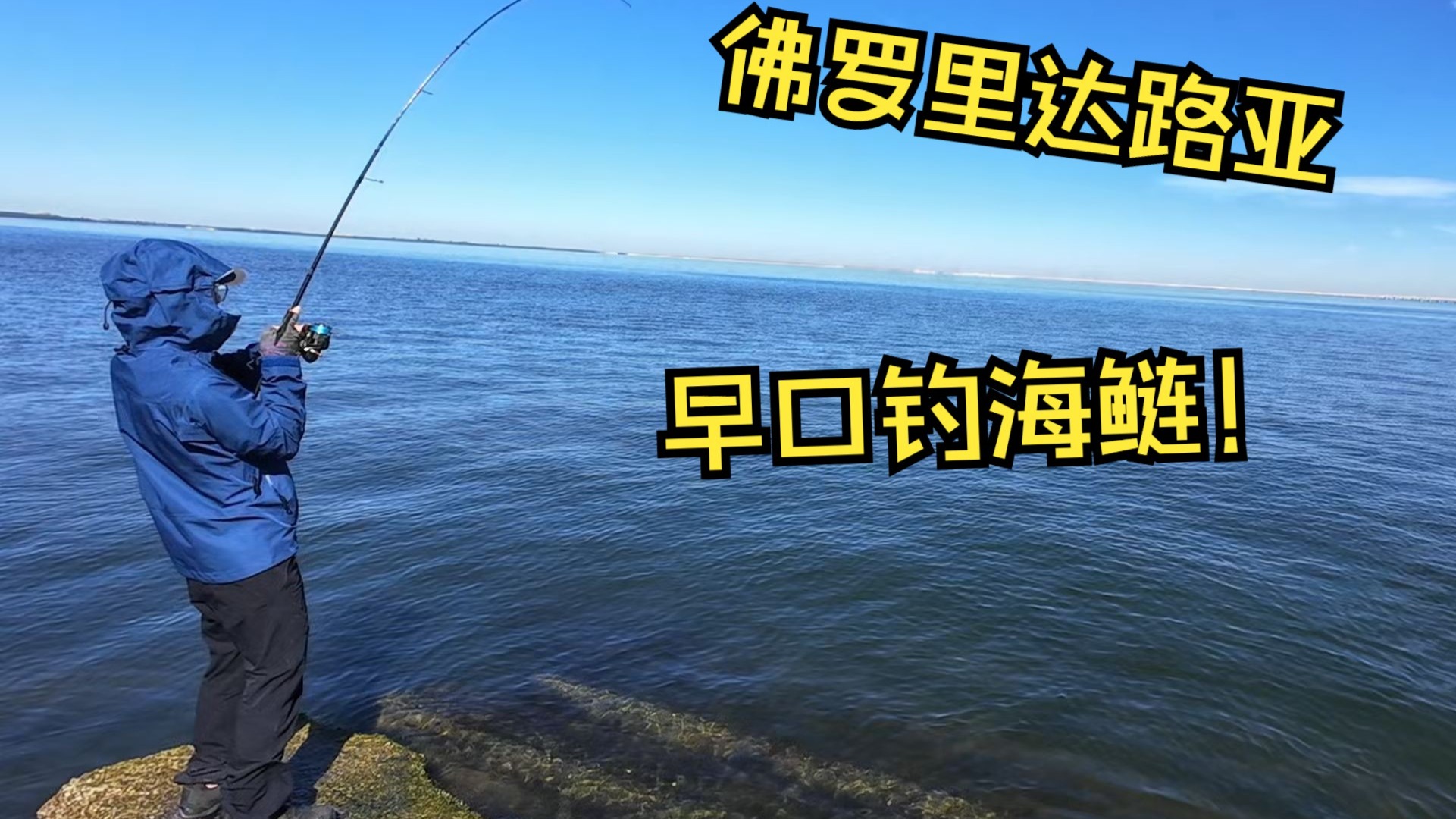 鲢鳙钓鱼海钓(钓鲢鳙用海竿好还是手竿好)