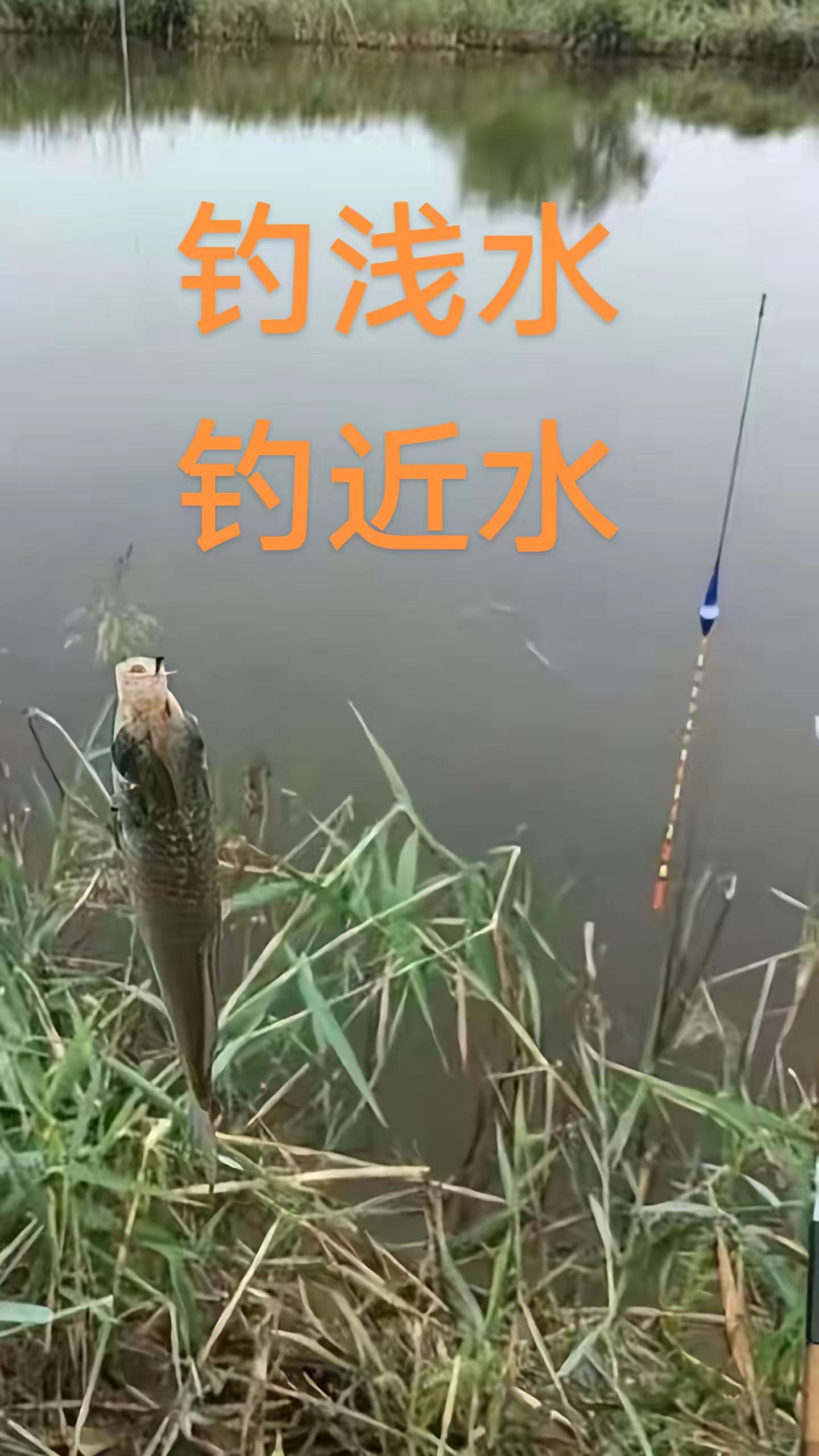 云南秋天河里钓鱼技巧(秋天河里钓鱼的技术及技巧)