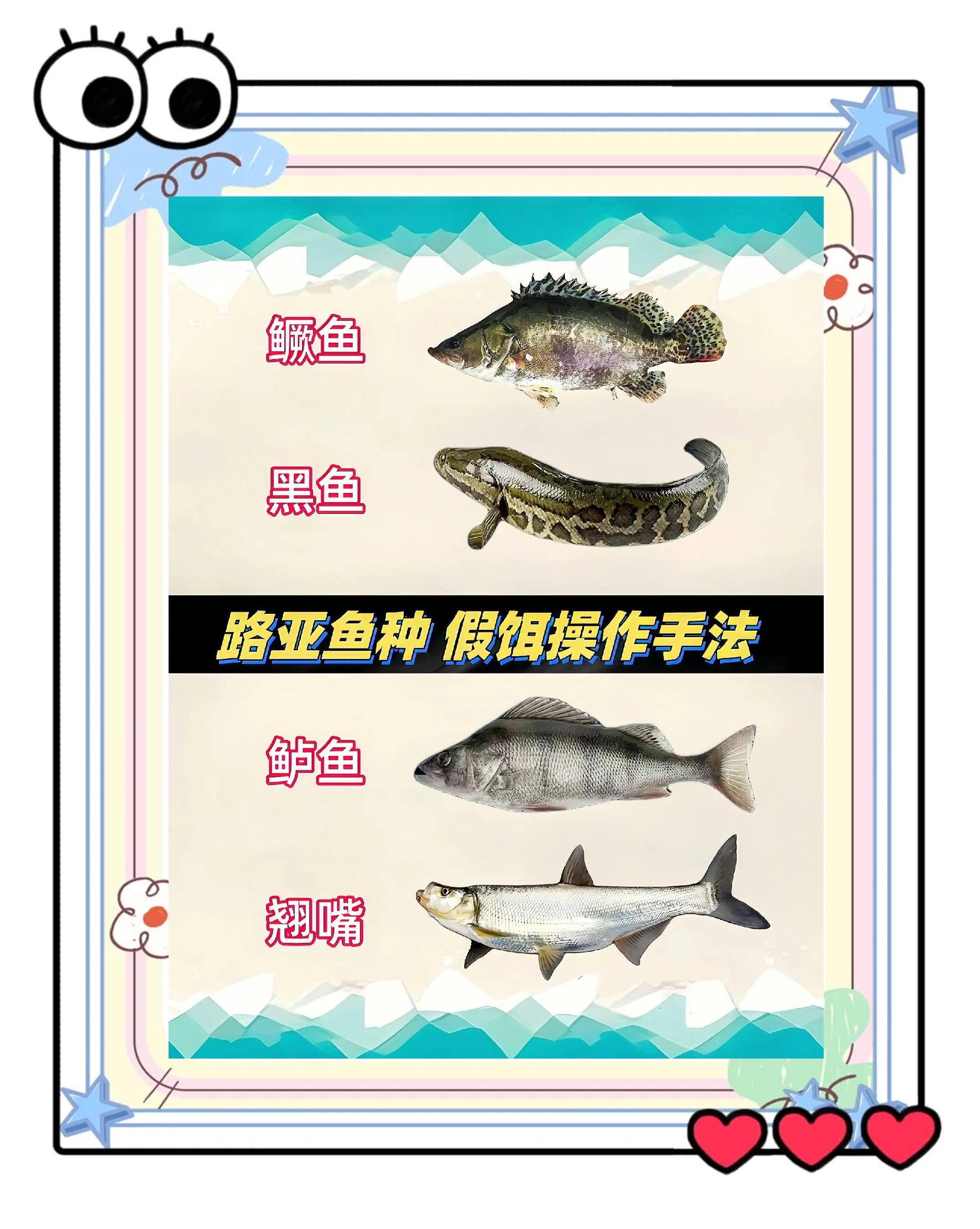 路亚拉饵技巧(路亚教程饵的使用)