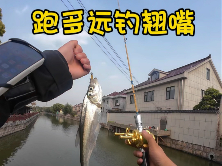 上海郊区路亚(上海路亚钓鱼的地方有哪些)