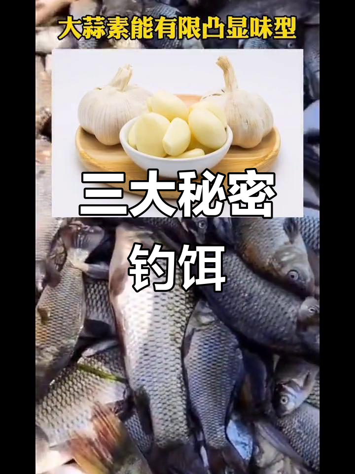 秘制钓鱼饵料技巧(秘制钓鱼饵料技巧视频)
