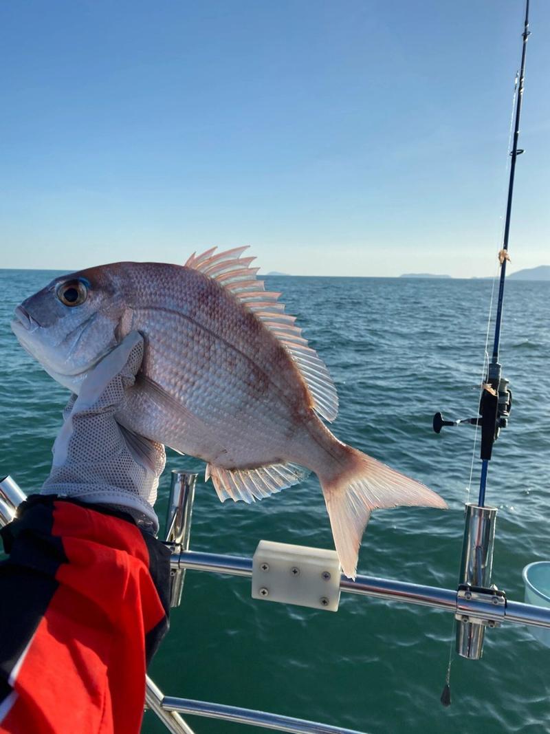 泉州沿海海钓(泉州海钓最佳位置)