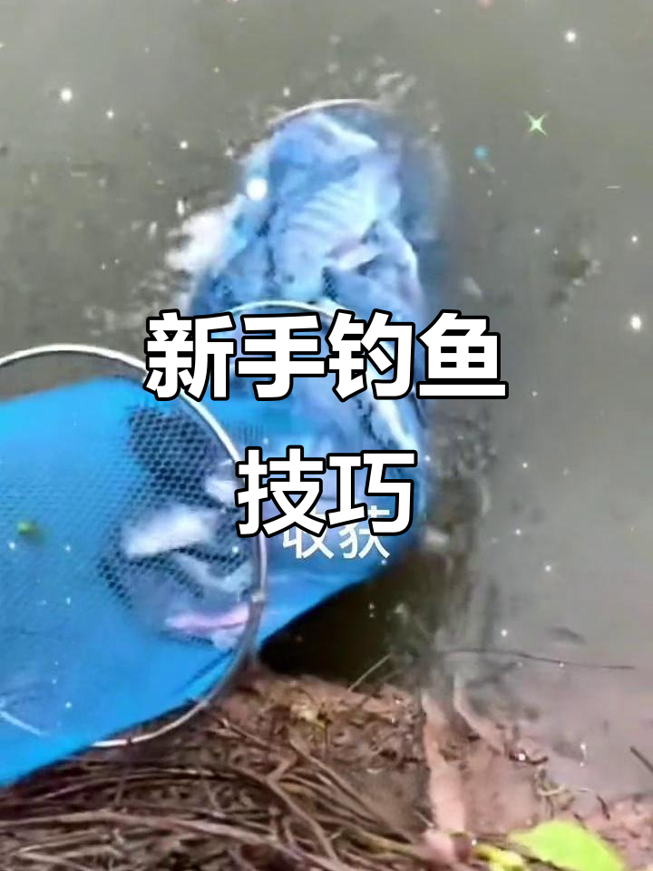 严寒钓鱼技巧(冬天寒潮钓鱼)