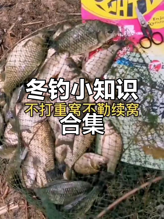 严寒钓鱼技巧(冬天寒潮钓鱼)
