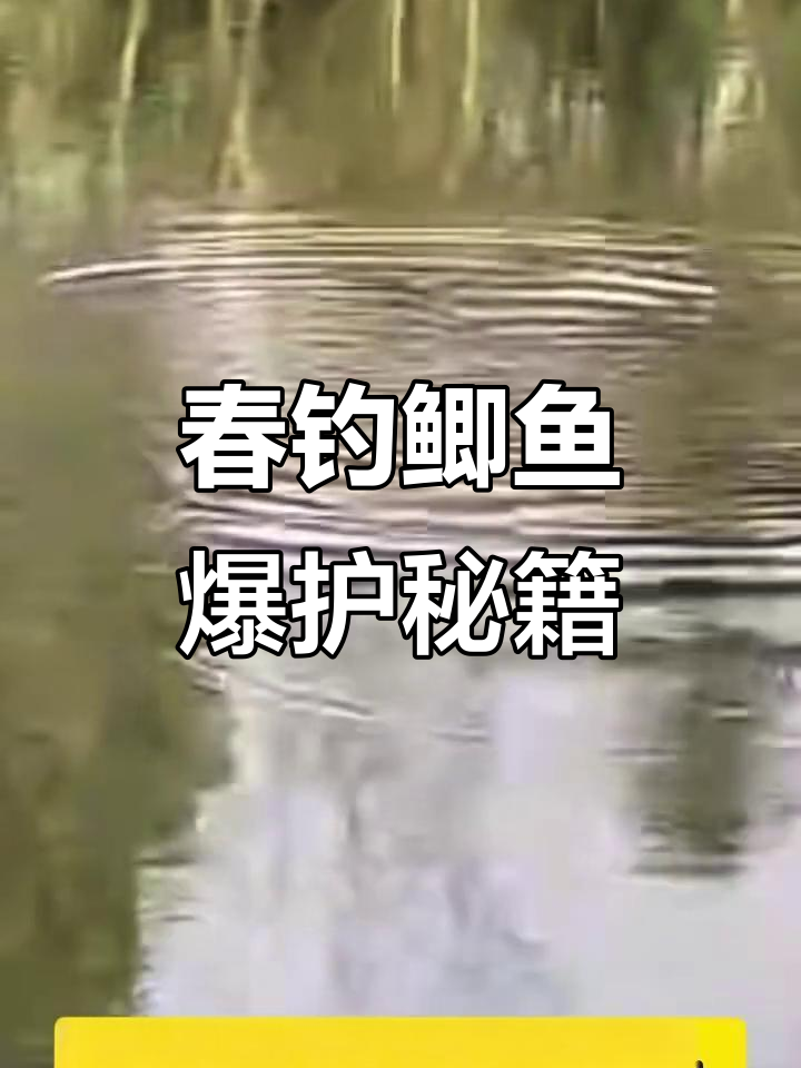 大雾天气钓鱼技巧(大雾天气适不适合钓鱼)